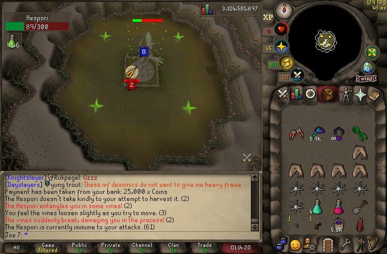 Joe 7 death screenshot killed by Hespori in Old School RuneScape